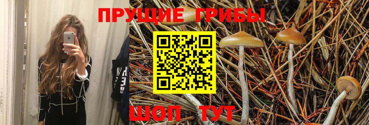 Галлюциногенные грибы прущие грибы  Ялуторовск 