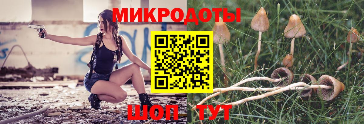 Галлюциногенные грибы прущие грибы  Галлюциногенные грибы мицелий  Вход с VPN  Ялуторовск 